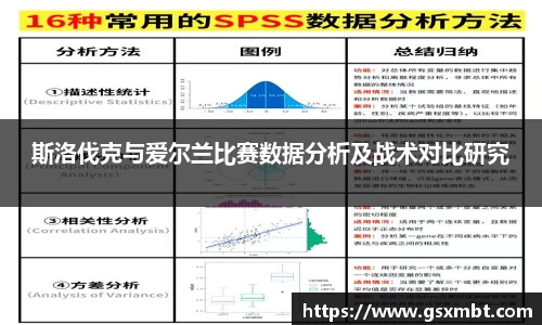 斯洛伐克与爱尔兰比赛数据分析及战术对比研究
