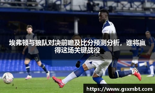 埃弗顿与狼队对决前瞻及比分预测分析，谁将赢得这场关键战役